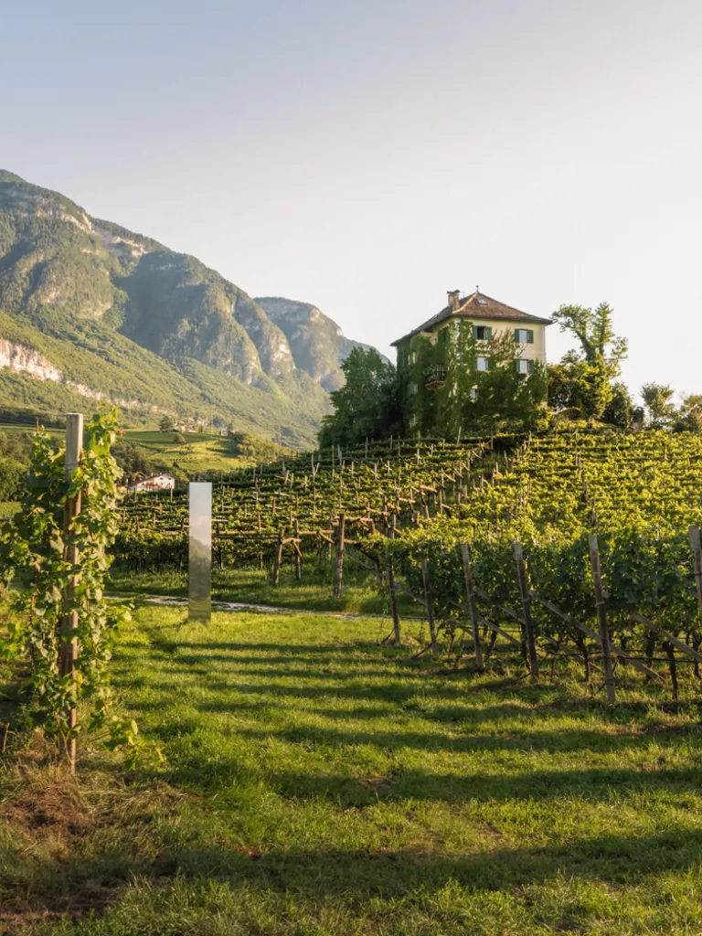 Destination South Tyrol Green Box Wine Baron Longo 03 (1)